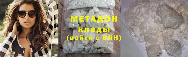 индика Богданович