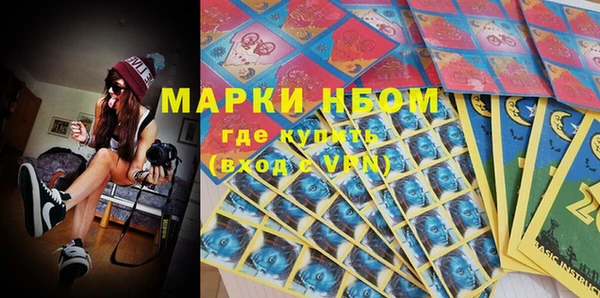 индика Богданович