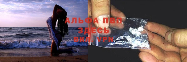 индика Богданович