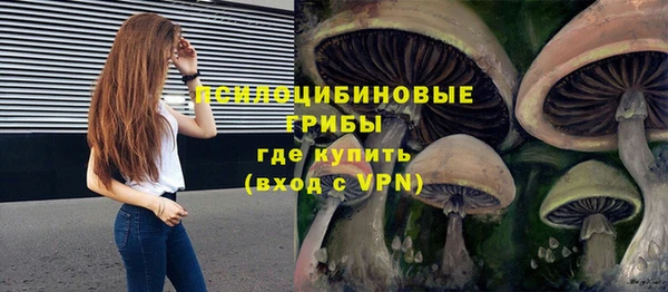 индика Богданович