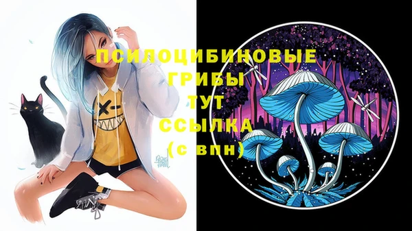 круглые Богородск