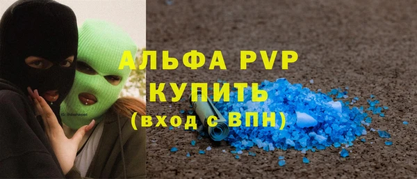 индика Богданович