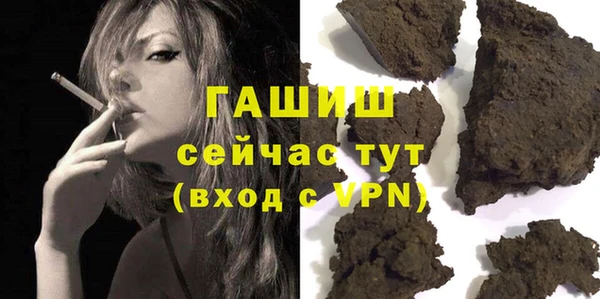 индика Богданович