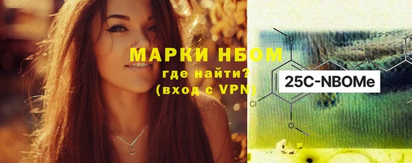 индика Богданович
