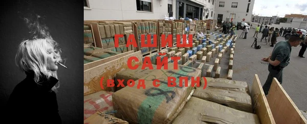 индика Богданович